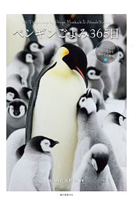 &nbsp;&nbsp;&nbsp; ペンギンごよみ365日 単行本 の詳細 カテゴリ: 中古本 ジャンル: 産業・学術・歴史 動物 出版社: 誠文堂新光社 レーベル: 作者: 水口博也 カナ: ペンギンゴヨミサンビャクロクジュウゴニチ / ミナクチヒロヤ サイズ: 単行本 ISBN: 4416520116 発売日: 2020/06/01 関連商品リンク : 水口博也 誠文堂新光社