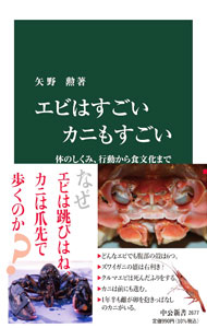 Zoology - 【中古】エビはすごいカニもすごい / 矢野勲
