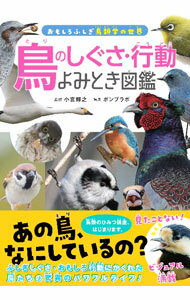Zoology - 【中古】鳥のしぐさ・行動よみとき図鑑 / 小宮輝之