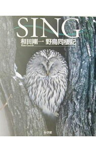 &nbsp;&nbsp;&nbsp; SING 単行本 の詳細 カテゴリ: 中古本 ジャンル: 産業・学術・歴史 動物 出版社: 小学館 レーベル: 作者: 和田剛一 カナ: シング / ワダヨシカズ サイズ: 単行本 ISBN: 4096803634 発売日: 2003/05/01 関連商品リンク : 和田剛一 小学館