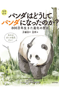 【中古】パンダはどうしてパンダになったのか？ / 方盛国