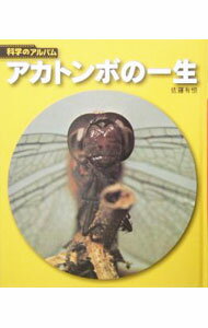 Zoology - 【中古】アカトンボの一生 / 佐藤有恒