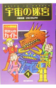 【中古】宇宙の迷宮 / 川崎光徳 (単行本)
