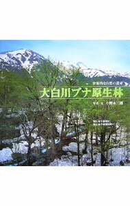 【中古】大白川ブナ原生林 / 小野木三郎