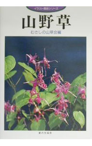 【中古】山野草 / むさしの山草会