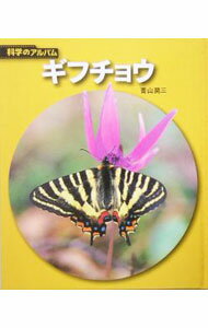 动物学 - 【中古】ギフチョウ / 青山潤三