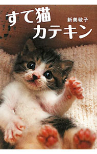 【中古】すて猫カテキン / 新美敬子 (単行本)