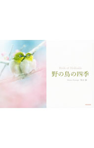 &nbsp;&nbsp;&nbsp; 野の鳥の四季 単行本 の詳細 芽吹いたばかりの森でさえずるセキレイ、狙いを定めるハヤブサ、木の枝で寄り添う2羽のメジロ、農耕地に舞い降りたカナダヅル…。室蘭・絵鞆半島を撮影フィールドに、野鳥の四季を写した写真集。 カテゴリ: 中古本 ジャンル: 産業・学術・歴史 動物 出版社: 青菁社 レーベル: 作者: 熊谷勝 カナ: ノノトリノシキ / クマガイマサル サイズ: 単行本 ISBN: 4883501823 発売日: 2014/11/01 関連商品リンク : 熊谷勝 青菁社