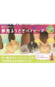 【中古】抱きしめたい！夢見るうさぎベイビーズ / マガジンランド (単行本)