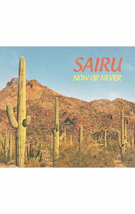 【中古】NOW　OR　NEVER / SAIRU