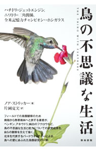 鳥の不思議な生活 / StryckerNoah