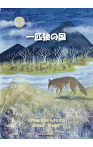 【中古】一匹狼の国　世界の喫煙規制を検証する / 宮本順伯
