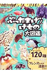 &nbsp;&nbsp;&nbsp; ぶったまげ！けもの大図鑑 単行本 の詳細 ほ乳類や鳥類、爬虫類、両生類など、日本の動物園などで見られる動物たちを、可愛らしい写真とわかりやすい文章で紹介。その動物を見られる日本の動物園、IUCNによる絶滅危惧度などを記載する。 カテゴリ: 中古本 ジャンル: 産業・学術・歴史 動物 出版社: メディアソフト レーベル: MS　MOOK 作者: メディアソフト カナ: ブッタマゲケモノダイズカン / メディアソフト サイズ: 単行本 ISBN: 4866322445 発売日: 2017/06/01 関連商品リンク : メディアソフト メディアソフト MS　MOOK