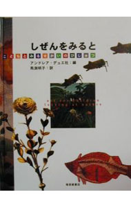 &nbsp;&nbsp;&nbsp; しぜんをみると　こどもとみるせかいのびじゅつ 単行本 の詳細 カテゴリ: 中古本 ジャンル: 女性・生活・コンピュータ 芸術・美術 出版社: 福音館書店 レーベル: 作者: 馬淵明子 カナ: シゼンヲミルトコドモトミルセカイノビジュツ / マブチアキコ サイズ: 単行本 ISBN: 4834016056 発売日: 2000/03/01 関連商品リンク : 馬淵明子 福音館書店　