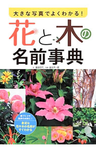 &nbsp;&nbsp;&nbsp; 花と木の名前事典 単行本 の詳細 庭植えに適した花や樹木、散歩で見かける野草や街路樹など、身近な植物を写真とともに紹介。植物の特徴のほか、種まきや植え替えの時期、植物が好む日照条件、育てるためのポイントなどがわかる。 カテゴリ: 中古本 ジャンル: 料理・趣味・児童 園芸 出版社: 西東社 レーベル: 作者: 金田初代 カナ: ハナトキノナマエジテン / カネダハツヨ サイズ: 単行本 ISBN: 4791621347 発売日: 2014/04/01 関連商品リンク : 金田初代 西東社