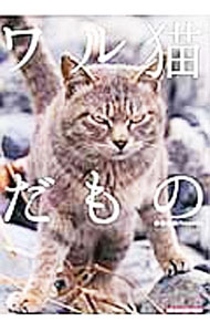 【中古】ワル猫だもの / 南幅俊輔