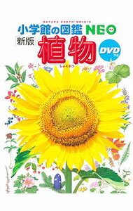 Other - 【中古】植物 / 門田裕一