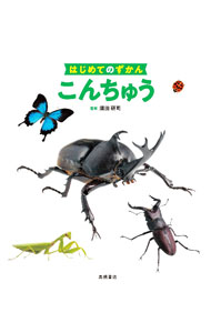 【中古】こんちゅう / 須田研司 (単行本)