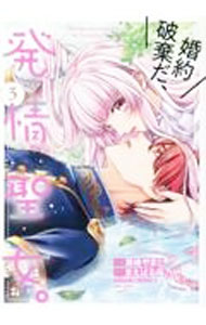 ����šۺ����˴�����ȯ�������� 3/ ƣ����ޤ�