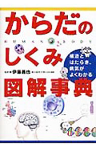 【中古】からだのしくみ図解事典 / 伊藤善也 (単行本)