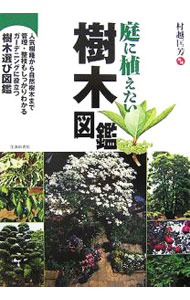 &nbsp;&nbsp;&nbsp; 庭に植えたい樹木図鑑 単行本 の詳細 樹木の性質や特徴、選び方や植え方、管理の方法、楽しみ方などをわかりやすく解説。落葉広葉樹、常緑広葉樹、針葉樹はもちろん、花木、果樹までを紹介した樹木選びの入門書。 カテゴリ: 中古本 ジャンル: 料理・趣味・児童 園芸 出版社: 池田書店 レーベル: 作者: 村越匡芳 カナ: ニワニウエタイジュモクズカン / ムラコシマサヨシ サイズ: 単行本 ISBN: 4262136132 発売日: 2006/10/01 関連商品リンク : 村越匡芳 池田書店