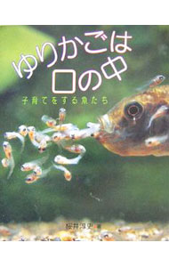 Zoology - 【中古】ゆりかごは口の中 / 桜井淳史