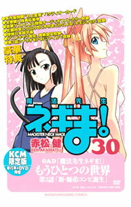 【中古】魔法先生ネギま！ 30/ 赤松健