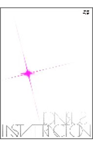 【中古】SURFACE　Final　Live「Last　Attraction」2010．06．13＠Tokyo　Internatinal　Forum　Hall　A / SURFACE【出演】