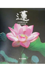 Botany - 【中古】蓮 / 北村文雄
