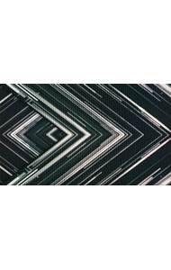 【中古】SAKANAQUARIUM　2015−2016“NF　Records　launch　tour”−LIVE　at　NIPPON　BUDOKAN　2015．10．27− / サカナクション【出演】