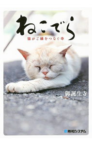 【中古】ねこでら / 御誕生寺（越前市）