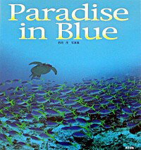 【中古】Paradise　in　blue / 西田茂