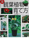 【中古】失敗しない観葉植物の育て方 / 山方政樹