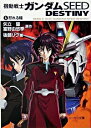 【中古】機動戦士ガンダムSEED DESTINY 1/ 後藤リウ