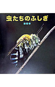 &nbsp;&nbsp;&nbsp; 虫たちのふしぎ 単行本 の詳細 虫は、へんちくりんな生き物。虫たちのふしぎな世界をじっくりのぞいてみてごらん。おもしろい世界を体験できるはず。頭、口、足、羽、お尻など、虫たちの体を写真と文で紹介する。 カテゴリ: 中古本 ジャンル: 産業・学術・歴史 動物 出版社: 福音館書店 レーベル: 作者: 新開孝 カナ: ムシタチノフシギ / シンカイタカシ サイズ: 単行本 ISBN: 4834020908 発売日: 2005/06/01 関連商品リンク : 新開孝 福音館書店