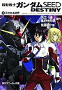 【中古】機動戦士ガンダムSEED DESTINY 4/ 後藤リウ