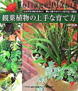 【中古】観葉植物の上手な育て方 / 主婦の友社