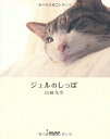 【中古】ジュルのしっぽ / 山崎花奈