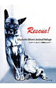 【中古】Rescue! / アニマルレフュージ関西