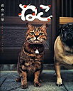 【中古】ねこ / 岩合光昭