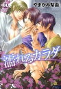 【中古】濡れるカラダ / やまかみ梨由
