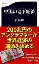 【中古】中国の地下経済 / 富坂聡