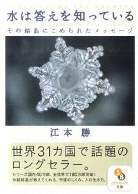 次世代に向けた電子図書館の可能性 [ 湯浅俊彦 ]