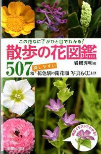 ͥåȥճŷԾŹ㤨֡šۻβֿ޴ / н1982ݡˡפβǤʤ165ߤˤʤޤ