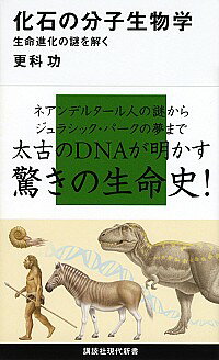 【中古】化石の分子生物学 / 更科功