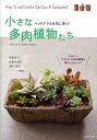 【中古】小さな多肉植物たち / 羽兼直行