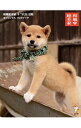 【中古】和風総本家十二代目豆助オフィシャルフォトブック / 森下泰樹
