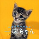 【中古】わさびちゃんちの一味ちゃん / わさびちゃんファミリー