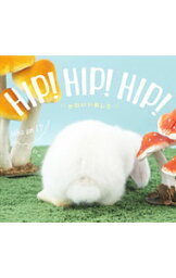 【中古】HIP！HIP！HIP！ / 蜂巣文香