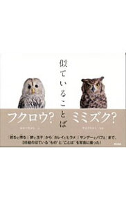 【中古】似ていることば / 岡部敬史